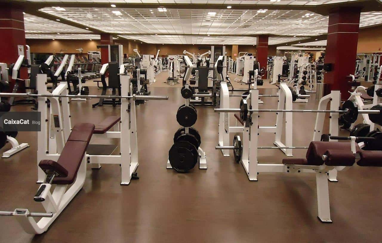 gym, equipment, weights