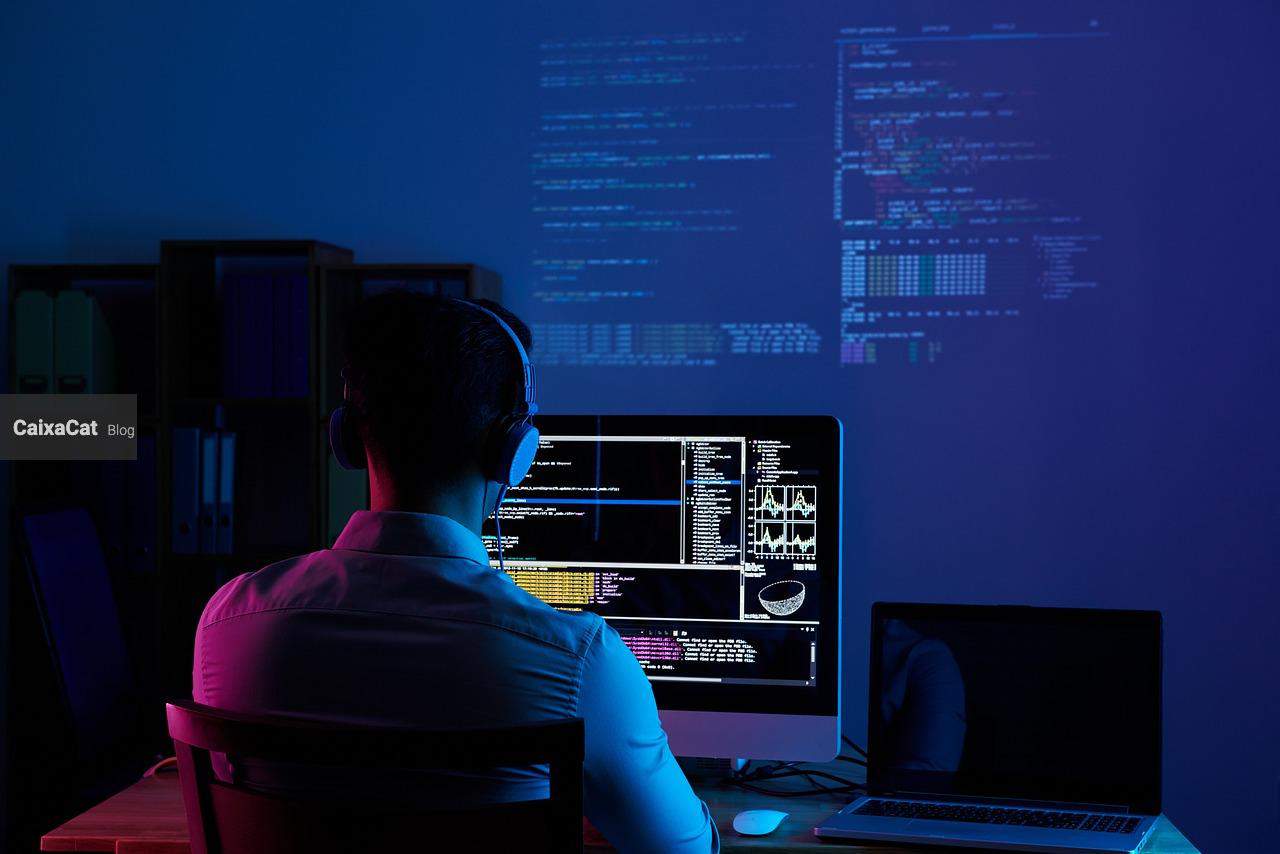 software developer, web developer, programmer